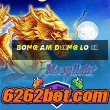 bóng âm dương lô đề