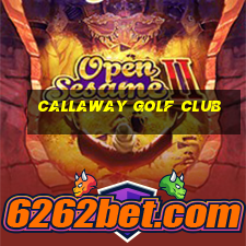 callaway golf club