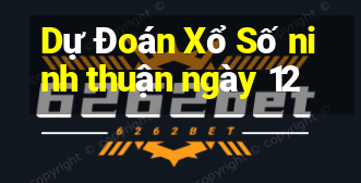 Dự Đoán Xổ Số ninh thuận ngày 12