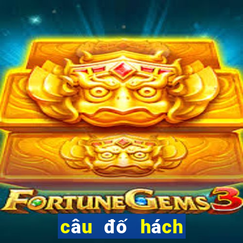 câu đố hách não có đáp án