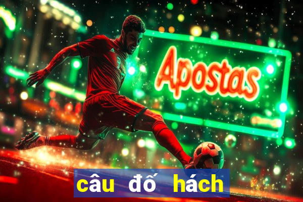 câu đố hách não có đáp án