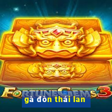 ga don thai lan