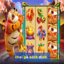 chọi gà bình định