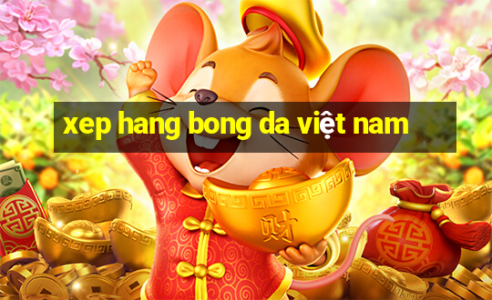 xep hang bong da việt nam