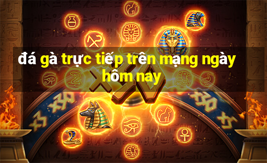 đá gà trực tiếp trên mạng ngày hôm nay