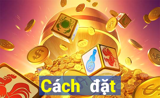 Cách đặt cược XSQT ngày 22