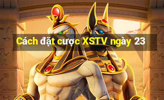 Cách đặt cược XSTV ngày 23