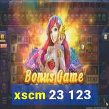 xscm 23 1 23