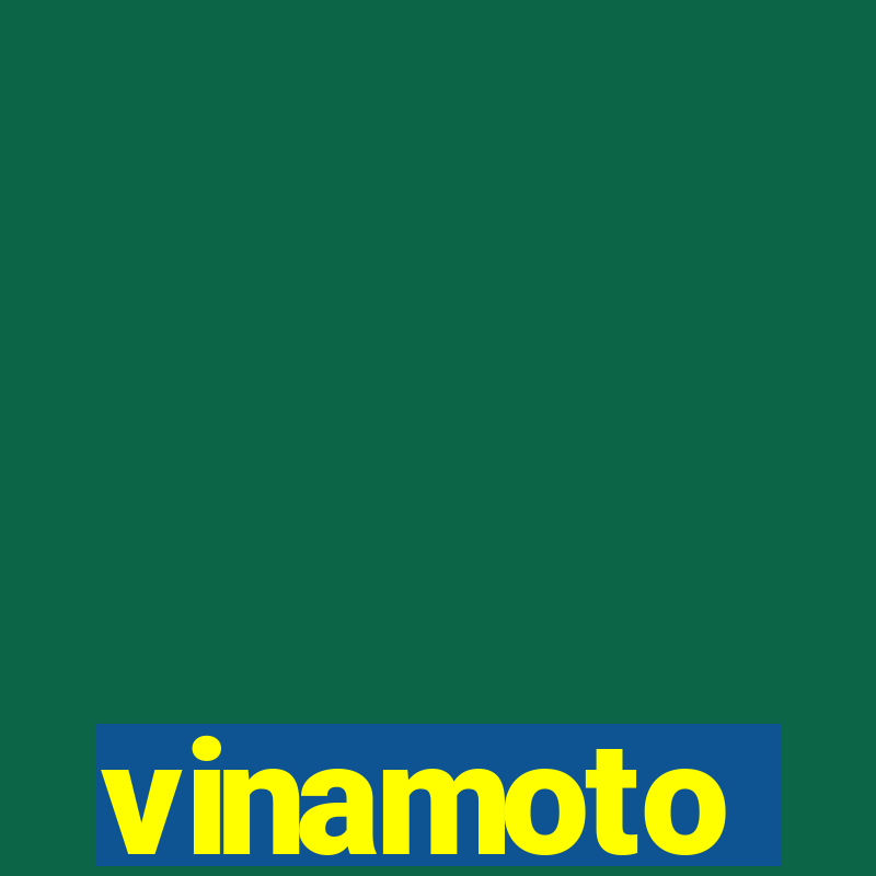 vinamoto