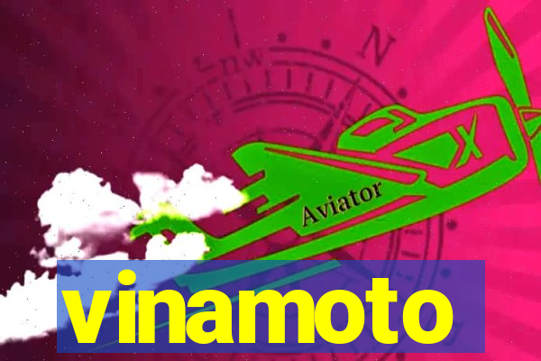 vinamoto