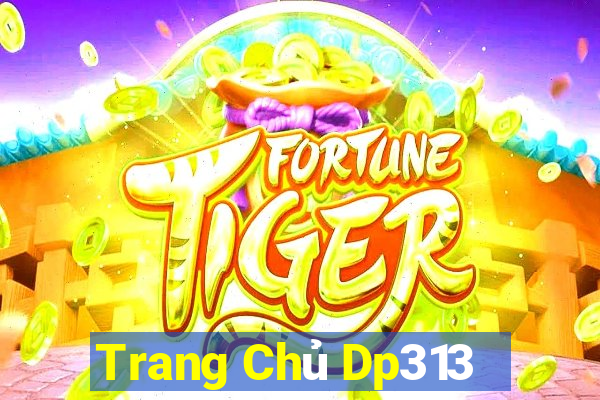 Trang Chủ Dp313