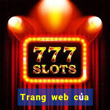 Trang web của 100 Court