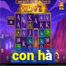 con hà