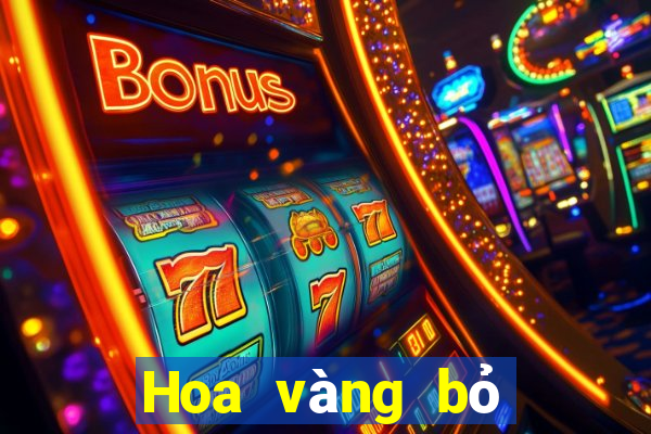 Hoa vàng bỏ túi 2021