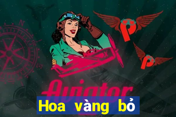 Hoa vàng bỏ túi 2021