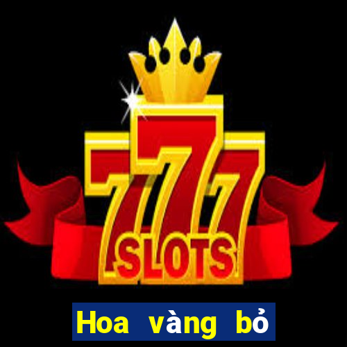 Hoa vàng bỏ túi 2021