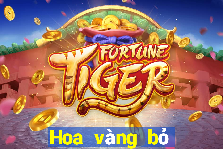 Hoa vàng bỏ túi 2021