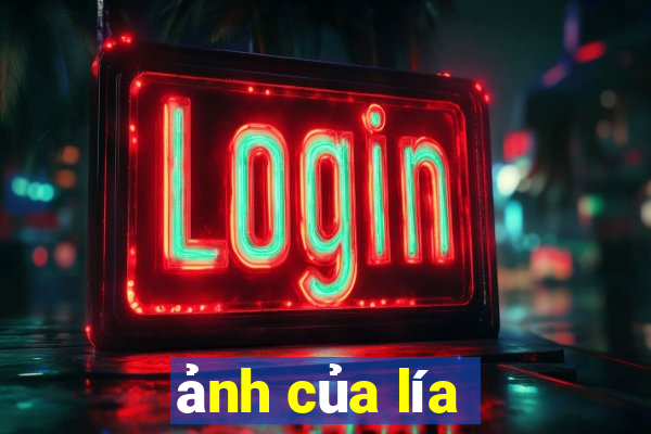 ảnh của lía