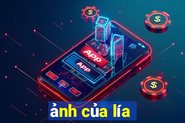 ảnh của lía