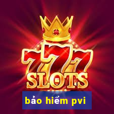 bảo hiểm pvi