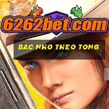 bac nho theo tong