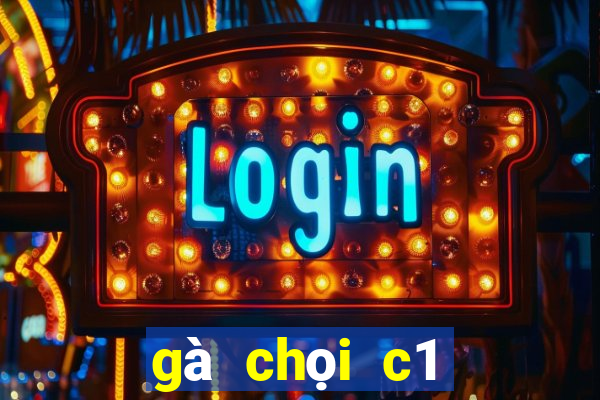 gà chọi c1 đỉnh cao