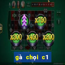 gà chọi c1 đỉnh cao