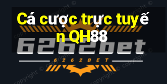 Cá cược trực tuyến QH88