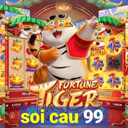 soi cau 99