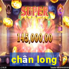 chân long