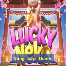 Nâng cấp thành viên ag