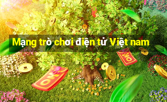 Mạng trò chơi điện tử Việt nam