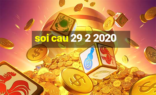 soi cau 29 2 2020