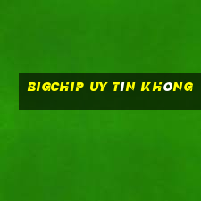 Bigchip Uy Tín Không