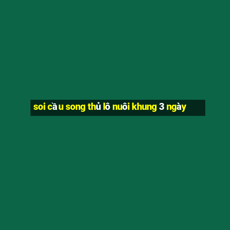 soi cầu song thủ lô nuôi khung 3 ngày