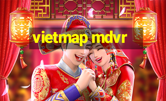 vietmap mdvr