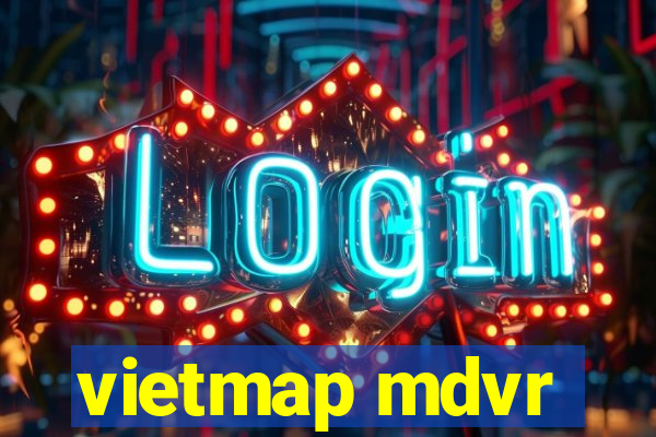 vietmap mdvr