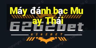 Máy đánh bạc Muay Thái