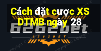 Cách đặt cược XSDTMB ngày 28