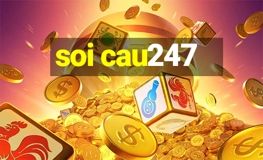 soi cau247