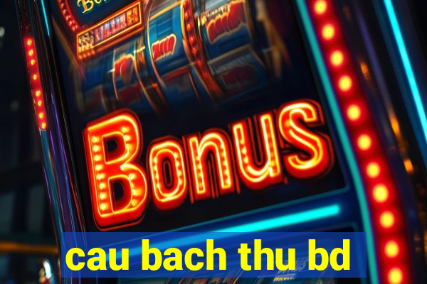 cau bach thu bd