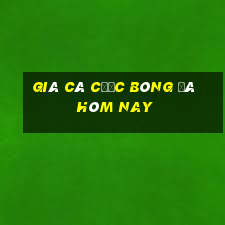 giá cá cược bóng đá hôm nay