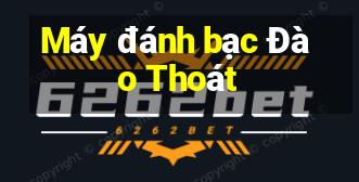 Máy đánh bạc Đào Thoát