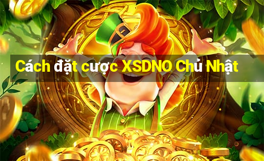 Cách đặt cược XSDNO Chủ Nhật