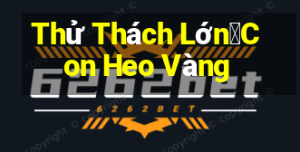 Thử Thách Lớn・Con Heo Vàng