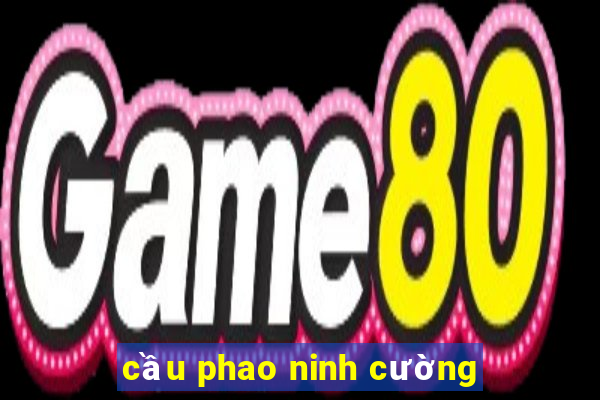 cầu phao ninh cường