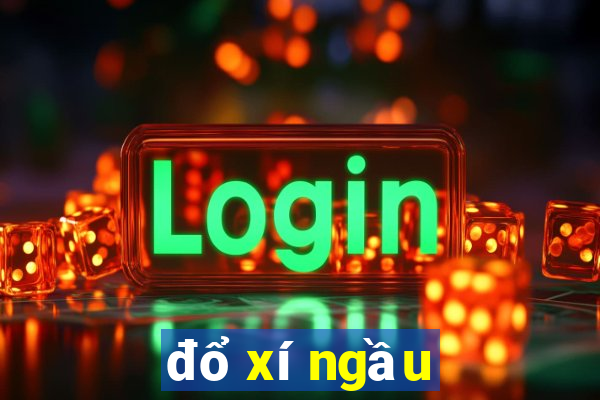 đổ xí ngầu