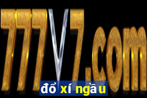 đổ xí ngầu