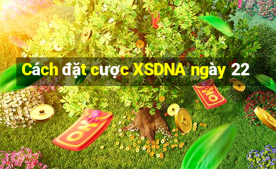 Cách đặt cược XSDNA ngày 22