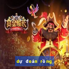 dự đoán rồng bạch kim